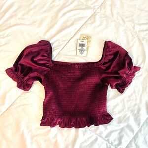 NWT Velvet cropped smocked top